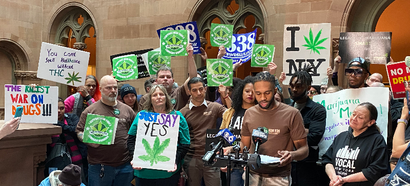 Cannabis Members in Albany New York
